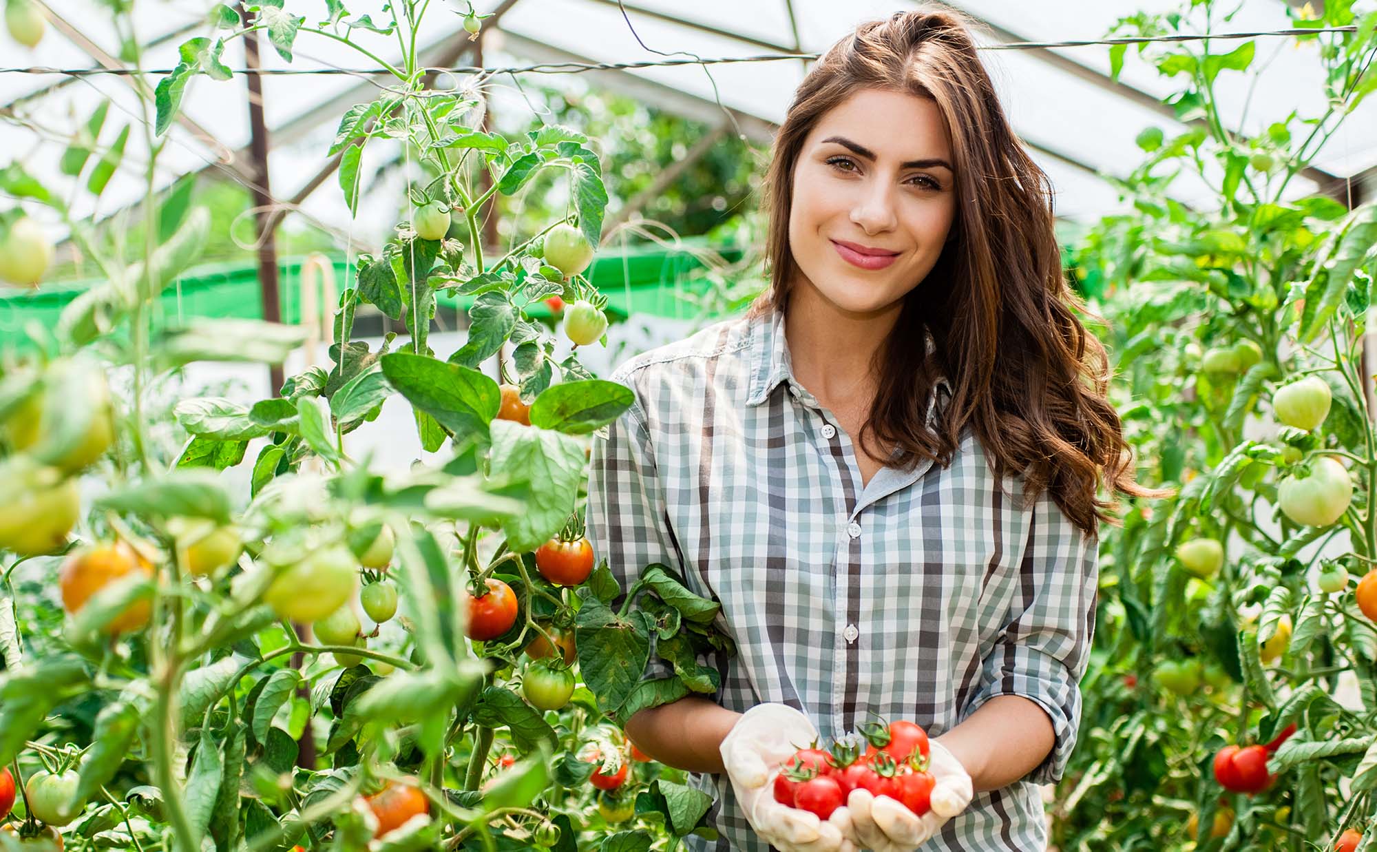 Agriculture Agribusiness course